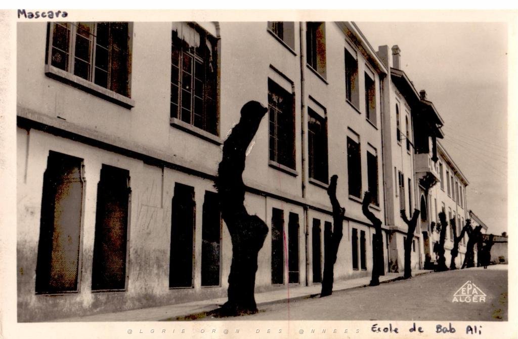 MASCARA 003 ECOLE DE BAB ALI.JPG
